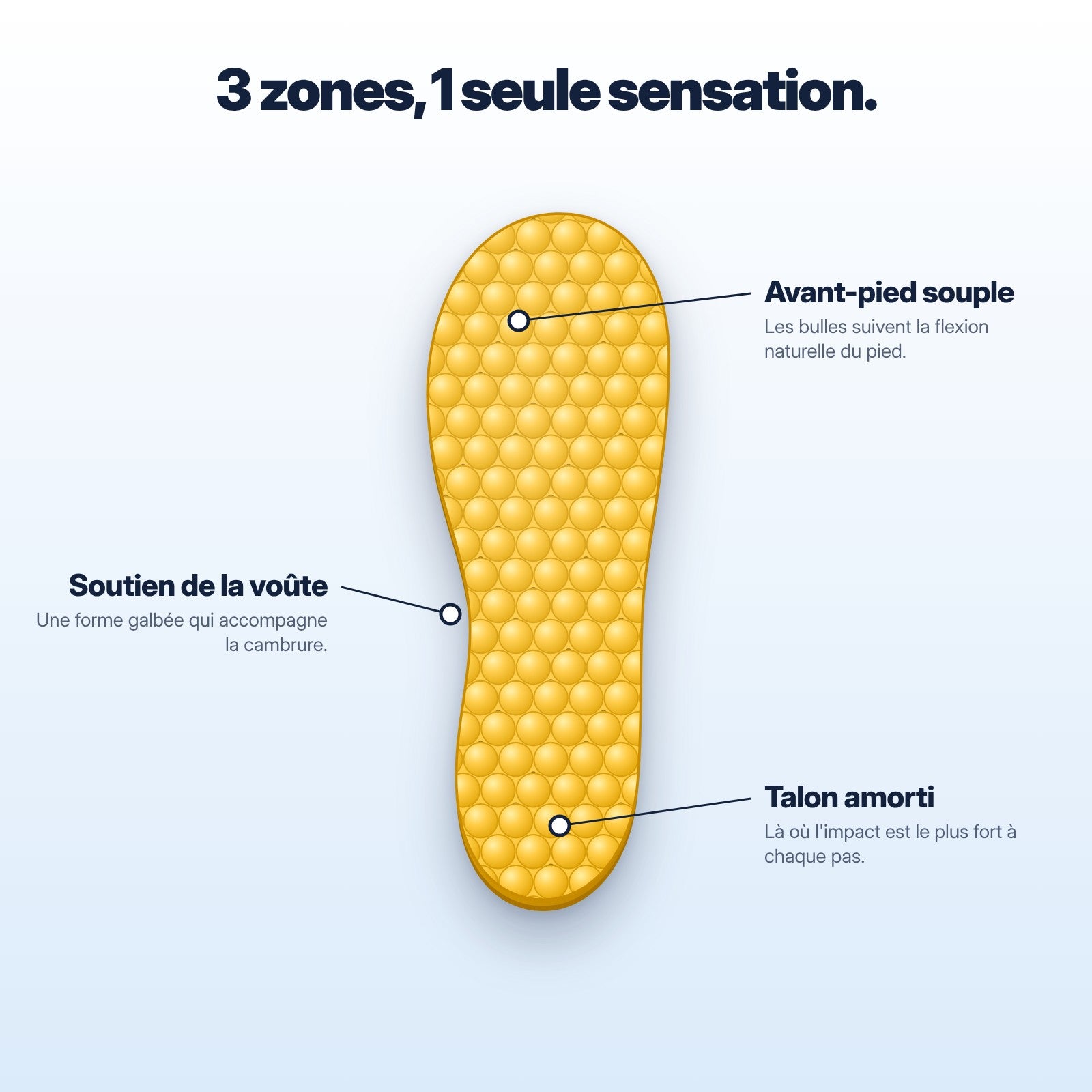 Les trois zones de confort de la semelle