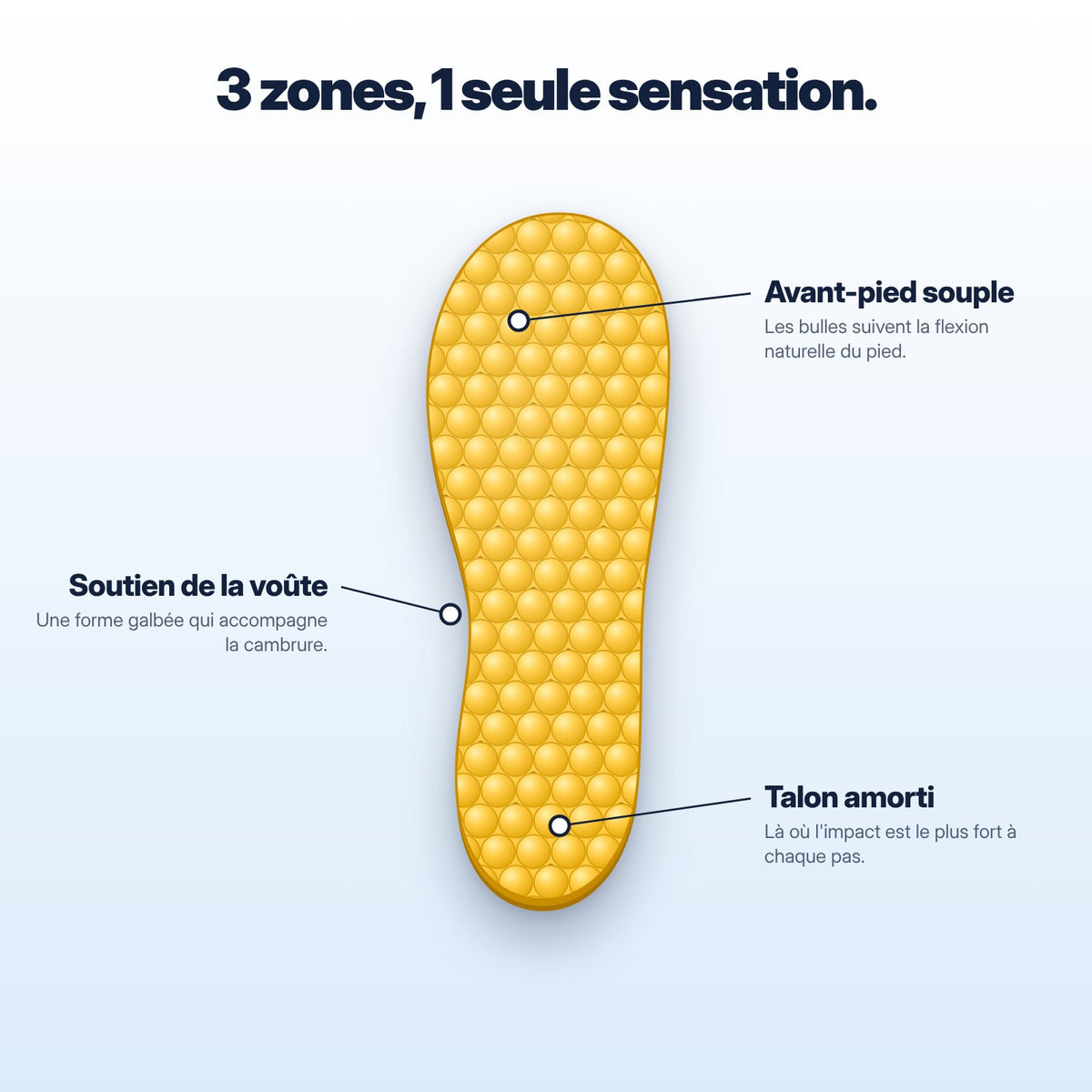 Les 3 zones de confort de la semelle